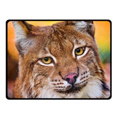 Tiger Beetle Lion Tiger Animals Fleece Blanket (small)