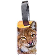 Tiger Beetle Lion Tiger Animals Luggage Tags (two Sides)