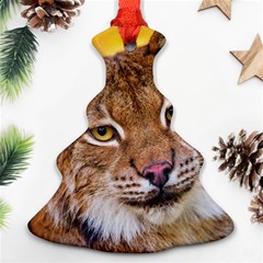 Tiger Beetle Lion Tiger Animals Christmas Tree Ornament (two Sides)