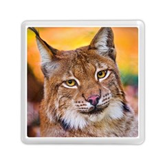 Tiger Beetle Lion Tiger Animals Memory Card Reader (square)  by Mariart