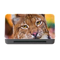 Tiger Beetle Lion Tiger Animals Memory Card Reader With Cf