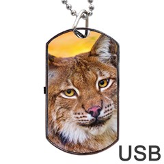 Tiger Beetle Lion Tiger Animals Dog Tag Usb Flash (one Side)