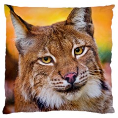 Tiger Beetle Lion Tiger Animals Large Cushion Case (one Side) by Mariart