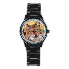 Tiger Beetle Lion Tiger Animals Stainless Steel Round Watch by Mariart