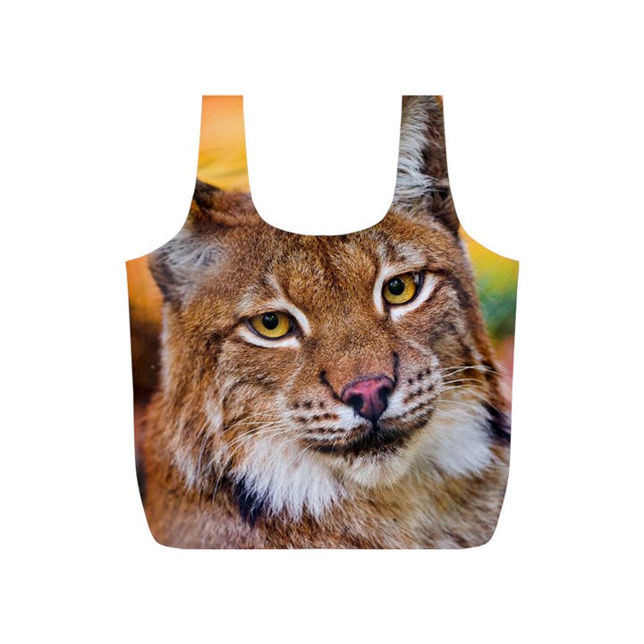 Tiger Beetle Lion Tiger Animals Full Print Recycle Bags (S) 