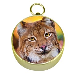 Tiger Beetle Lion Tiger Animals Gold Compasses