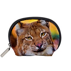 Tiger Beetle Lion Tiger Animals Accessory Pouches (small) 