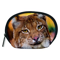 Tiger Beetle Lion Tiger Animals Accessory Pouches (medium)  by Mariart