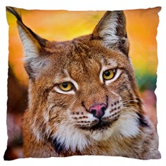 Tiger Beetle Lion Tiger Animals Standard Flano Cushion Case (one Side) by Mariart