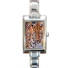 Tiger Beetle Lion Tiger Animals Leopard Rectangle Italian Charm Watch