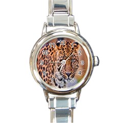 Tiger Beetle Lion Tiger Animals Leopard Round Italian Charm Watch by Mariart