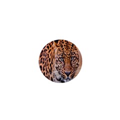 Tiger Beetle Lion Tiger Animals Leopard 1  Mini Buttons by Mariart