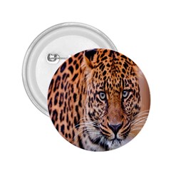 Tiger Beetle Lion Tiger Animals Leopard 2 25  Buttons by Mariart