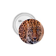 Tiger Beetle Lion Tiger Animals Leopard 1 75  Buttons by Mariart