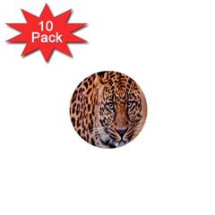 Tiger Beetle Lion Tiger Animals Leopard 1  Mini Buttons (10 Pack)  by Mariart