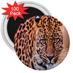 Tiger Beetle Lion Tiger Animals Leopard 3  Magnets (100 pack) Front