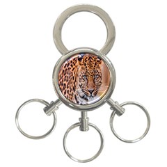 Tiger Beetle Lion Tiger Animals Leopard 3-ring Key Chains by Mariart