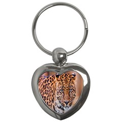 Tiger Beetle Lion Tiger Animals Leopard Key Chains (heart) 