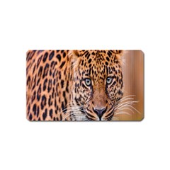 Tiger Beetle Lion Tiger Animals Leopard Magnet (name Card)