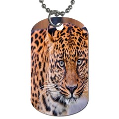 Tiger Beetle Lion Tiger Animals Leopard Dog Tag (one Side)