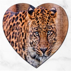 Tiger Beetle Lion Tiger Animals Leopard Jigsaw Puzzle (heart) by Mariart