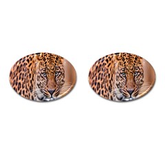 Tiger Beetle Lion Tiger Animals Leopard Cufflinks (oval)