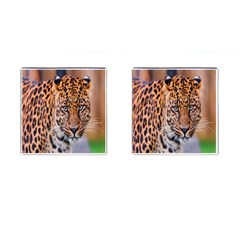 Tiger Beetle Lion Tiger Animals Leopard Cufflinks (square) by Mariart