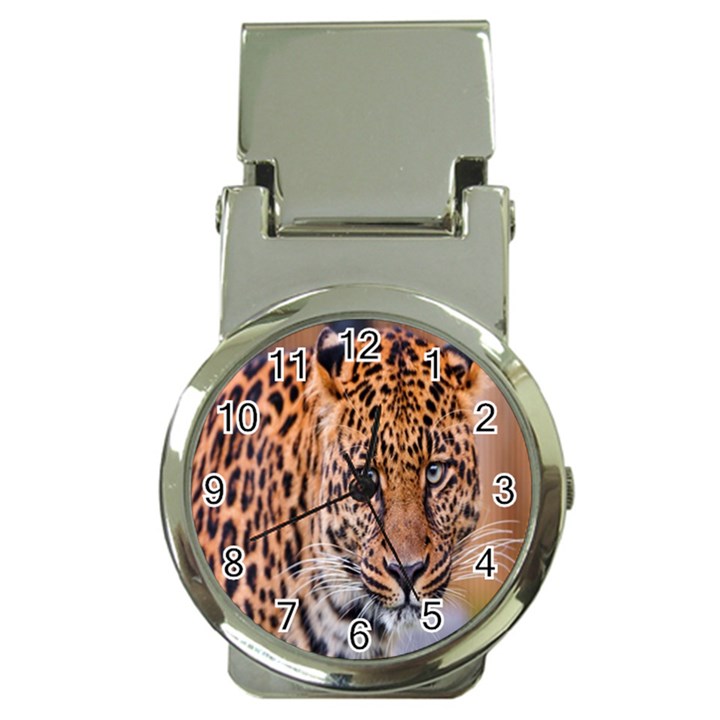 Tiger Beetle Lion Tiger Animals Leopard Money Clip Watches