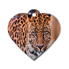 Tiger Beetle Lion Tiger Animals Leopard Dog Tag Heart (two Sides)