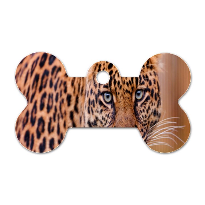 Tiger Beetle Lion Tiger Animals Leopard Dog Tag Bone (One Side)