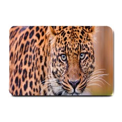 Tiger Beetle Lion Tiger Animals Leopard Small Doormat  by Mariart