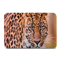 Tiger Beetle Lion Tiger Animals Leopard Plate Mats