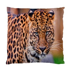 Tiger Beetle Lion Tiger Animals Leopard Standard Cushion Case (one Side)