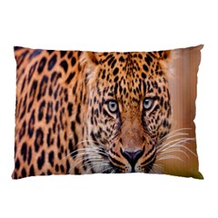 Tiger Beetle Lion Tiger Animals Leopard Pillow Case by Mariart