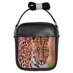 Tiger Beetle Lion Tiger Animals Leopard Girls Sling Bags