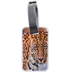 Tiger Beetle Lion Tiger Animals Leopard Luggage Tags (two Sides)