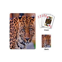 Tiger Beetle Lion Tiger Animals Leopard Playing Cards (mini)  by Mariart