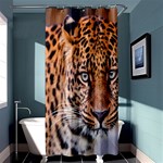 Tiger Beetle Lion Tiger Animals Leopard Shower Curtain 36  x 72  (Stall)  Curtain(36 X72 ) - 33.26 x66.24  Curtain(36 X72 )