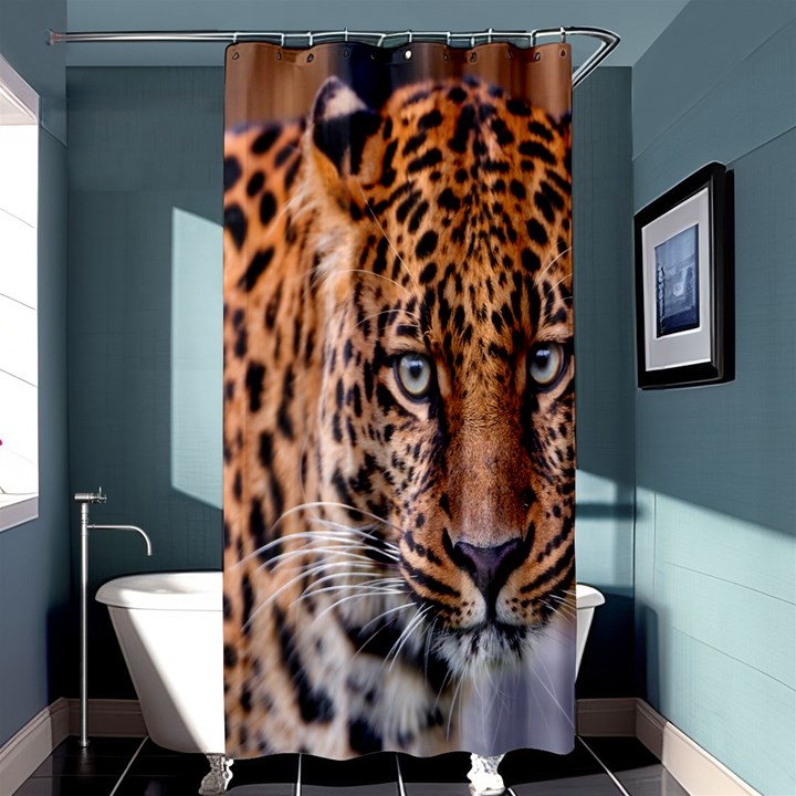 Tiger Beetle Lion Tiger Animals Leopard Shower Curtain 36  x 72  (Stall) 