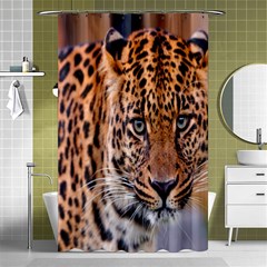 Tiger Beetle Lion Tiger Animals Leopard Shower Curtain 48  X 72  (small)  by Mariart