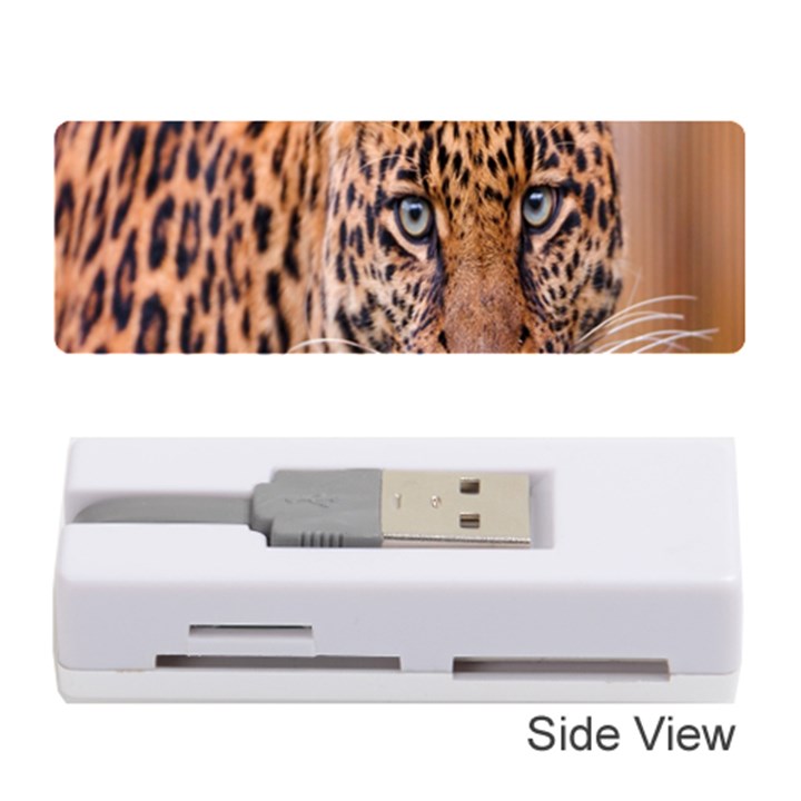 Tiger Beetle Lion Tiger Animals Leopard Memory Card Reader (Stick) 