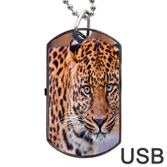 Tiger Beetle Lion Tiger Animals Leopard Dog Tag Usb Flash (one Side) by Mariart