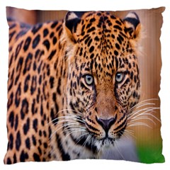 Tiger Beetle Lion Tiger Animals Leopard Large Cushion Case (one Side)