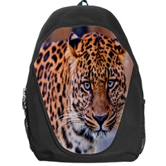 Tiger Beetle Lion Tiger Animals Leopard Backpack Bag by Mariart