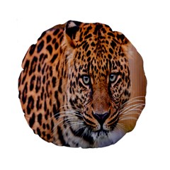 Tiger Beetle Lion Tiger Animals Leopard Standard 15  Premium Round Cushions