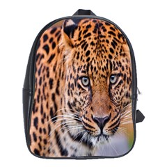 Tiger Beetle Lion Tiger Animals Leopard School Bag (xl) by Mariart