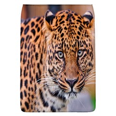 Tiger Beetle Lion Tiger Animals Leopard Flap Covers (l)  by Mariart