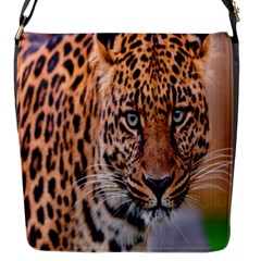 Tiger Beetle Lion Tiger Animals Leopard Flap Messenger Bag (s)