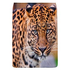 Tiger Beetle Lion Tiger Animals Leopard Flap Covers (s) 