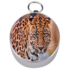 Tiger Beetle Lion Tiger Animals Leopard Silver Compasses by Mariart